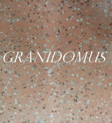 Granidomus