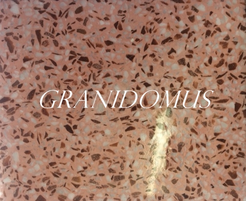 Granidomus