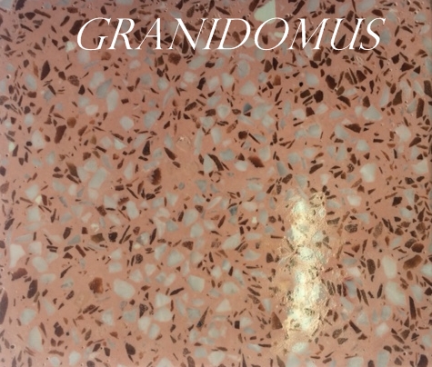 Granidomus