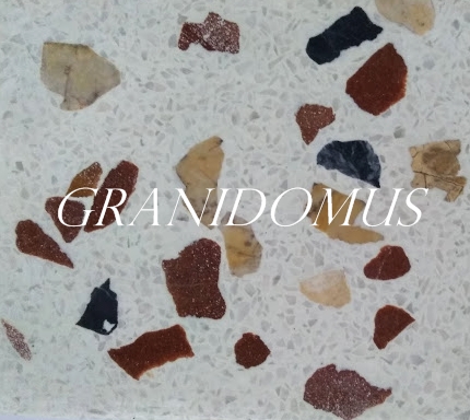 Granidomus