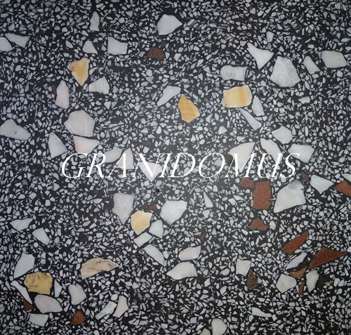 Granidomus